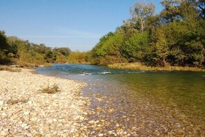 Orilla de río con agua cristalina y piedras, bordeada de árboles.