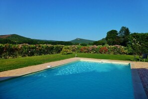 Ein rechteckiger Swimmingpool mit glasklar blauem Wasser, umgeben von einer gepflegten Rasenfläche und blühenden Pflanzen.