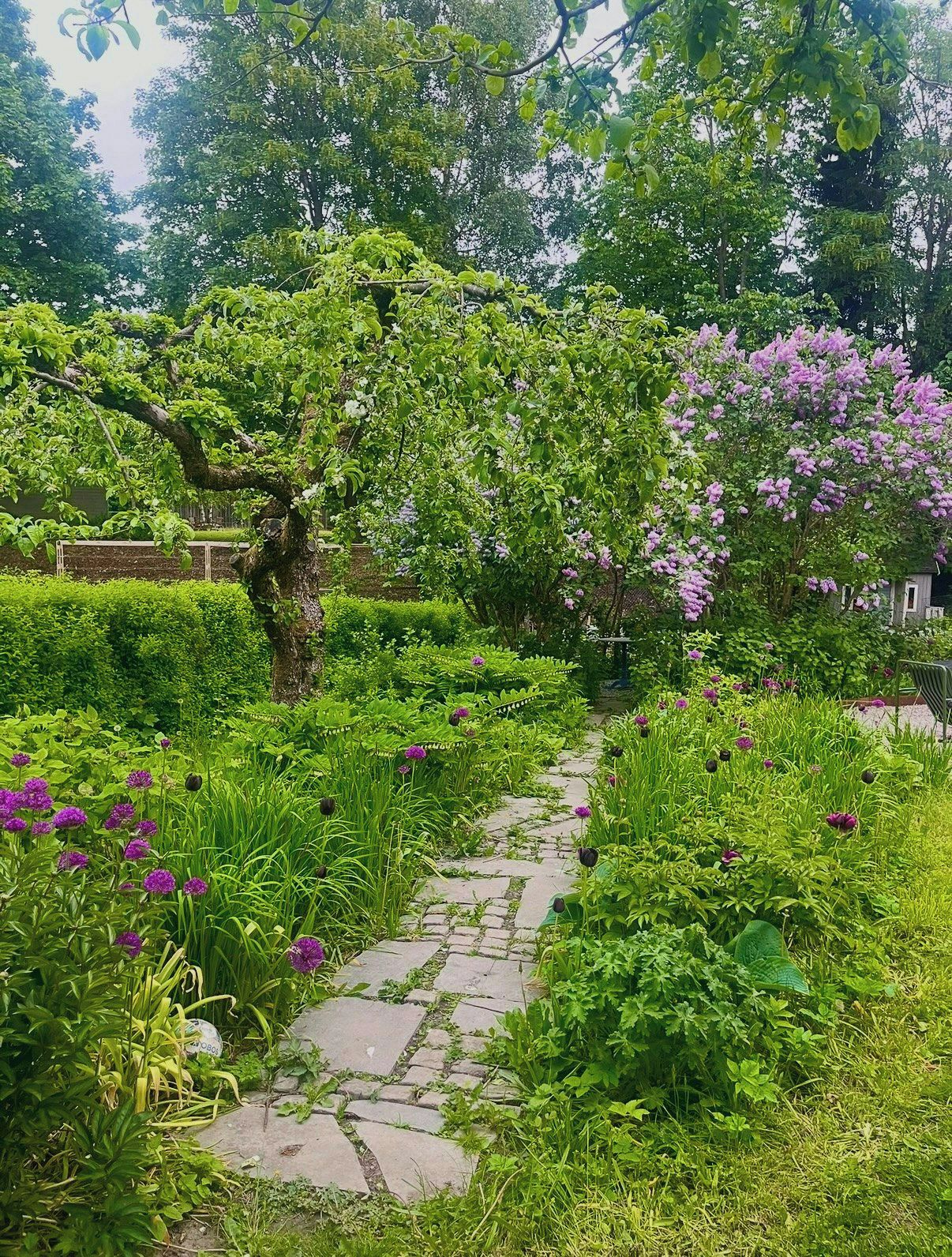 A garden with a stone pathway, lush greenery, and flowering plants.
