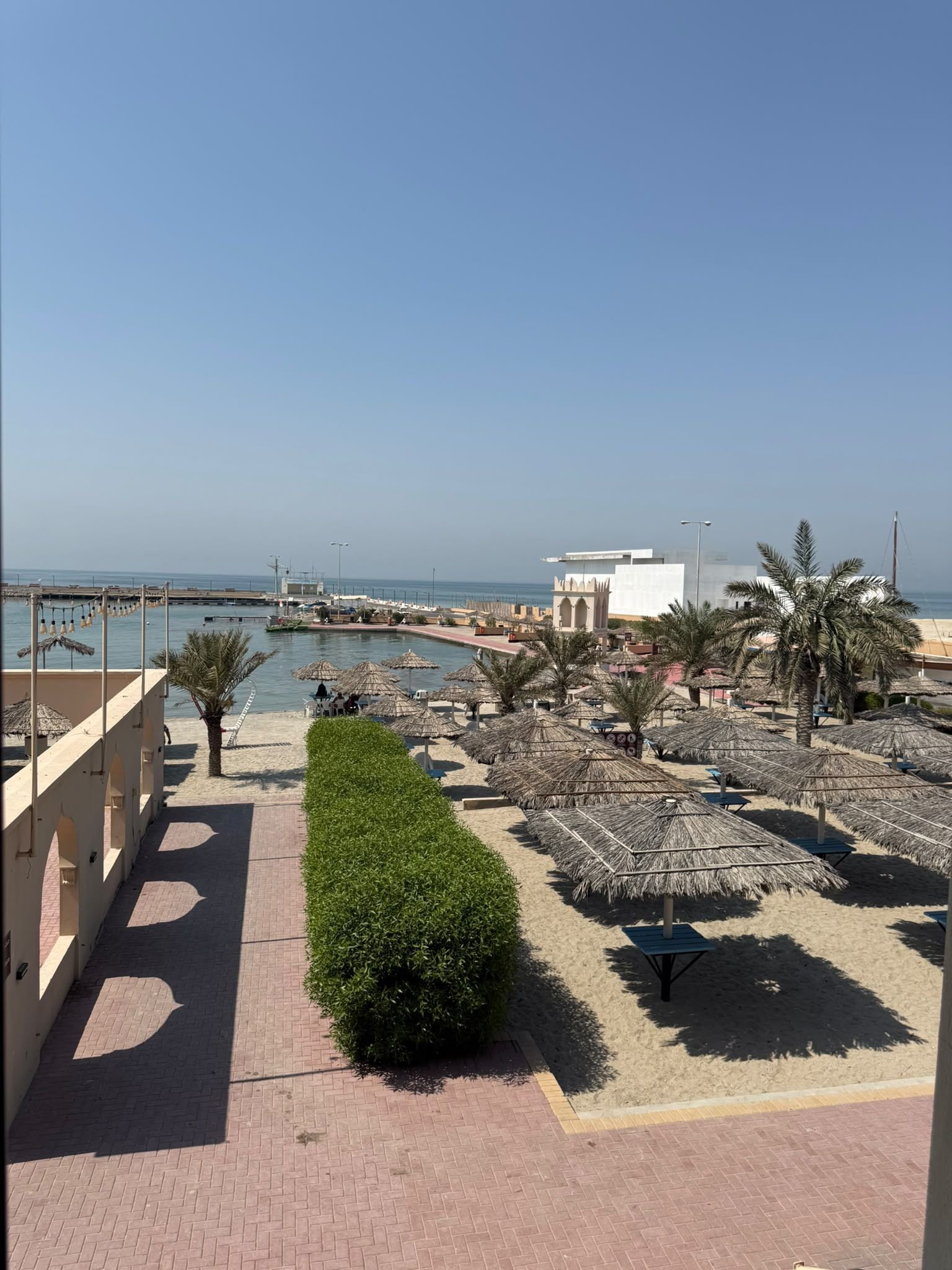 Eine Strandpromenade mit Palmen, Reetdachschirmen und freiem Blick auf das Meer.