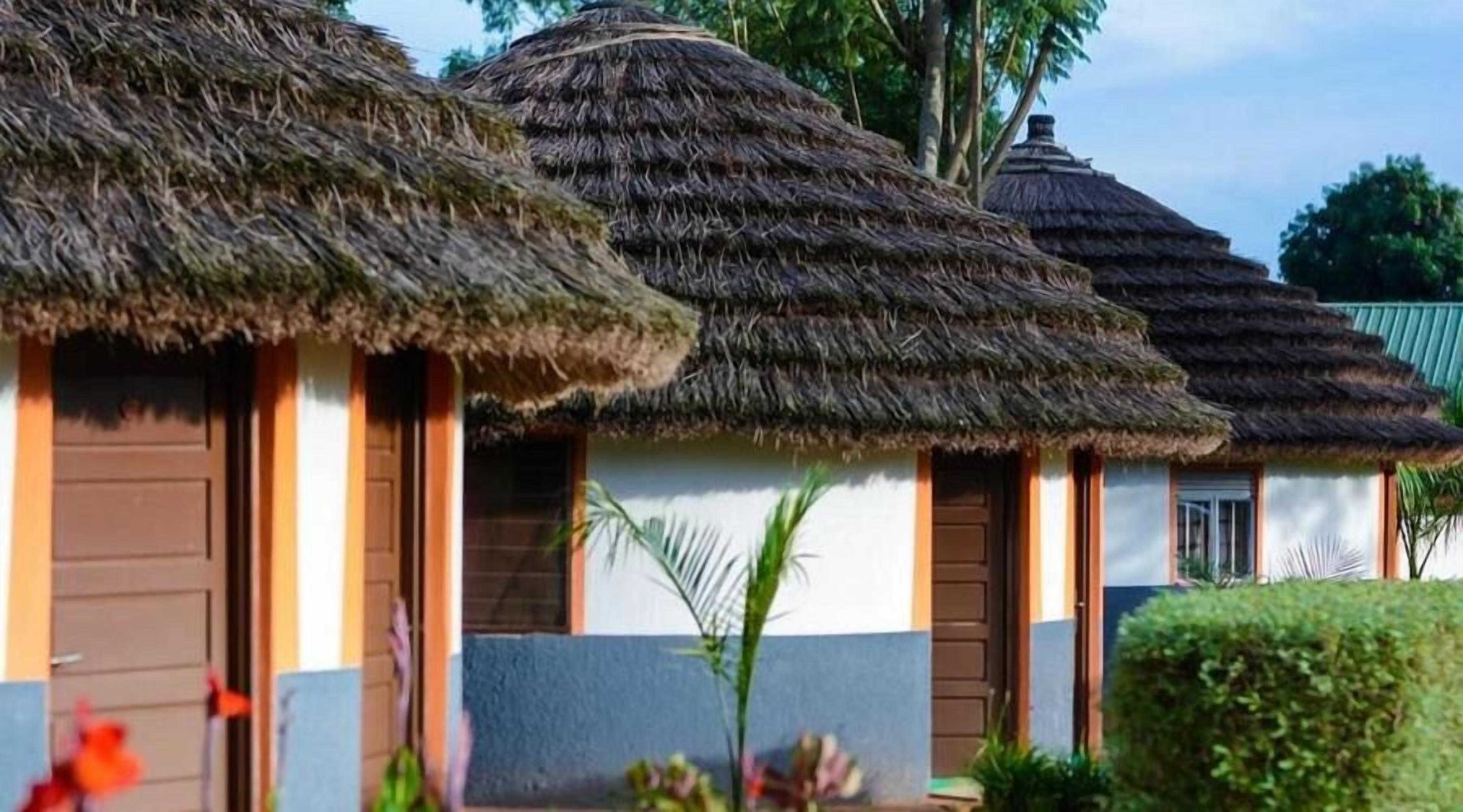 A row of thatched-roof huts with wooden doors and windows, surrounded by greenery.