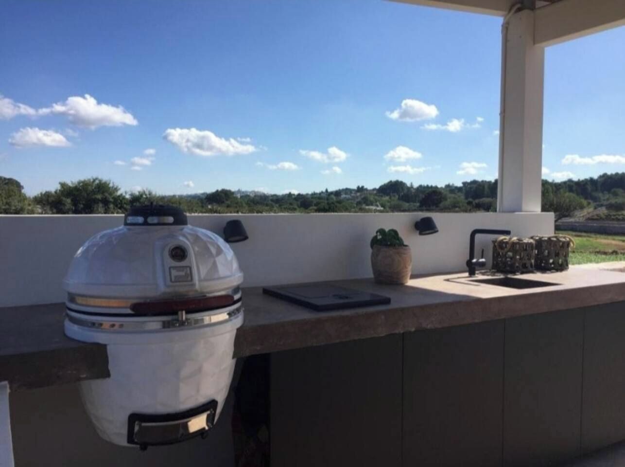 Un espace bar extérieur doté d’un barbecue intégré, d’une tablette et d’une plante en pot.
