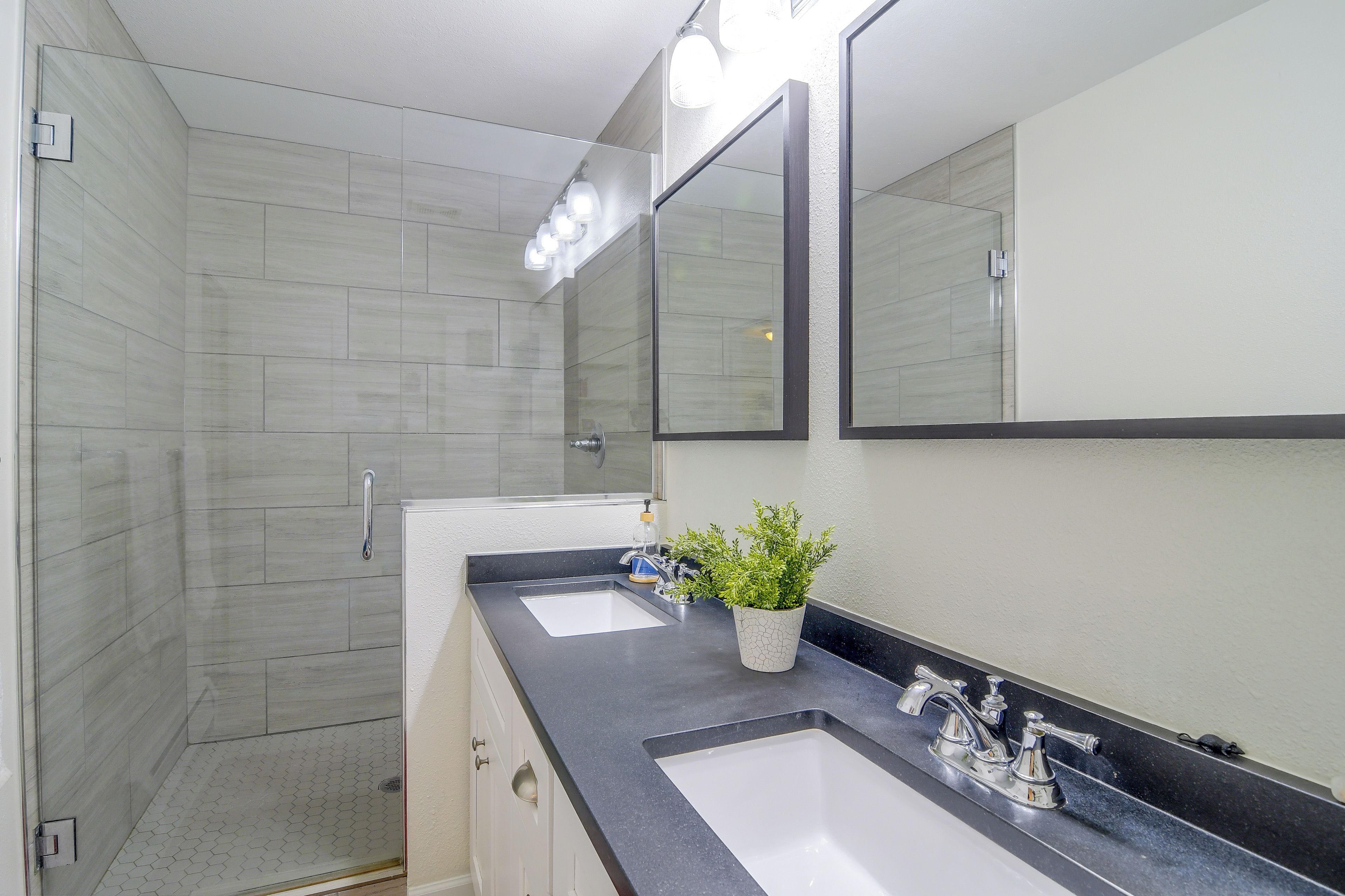 A modern bathroom with a glass shower enclosure, a white sink, a black countertop, and a potted plant.
