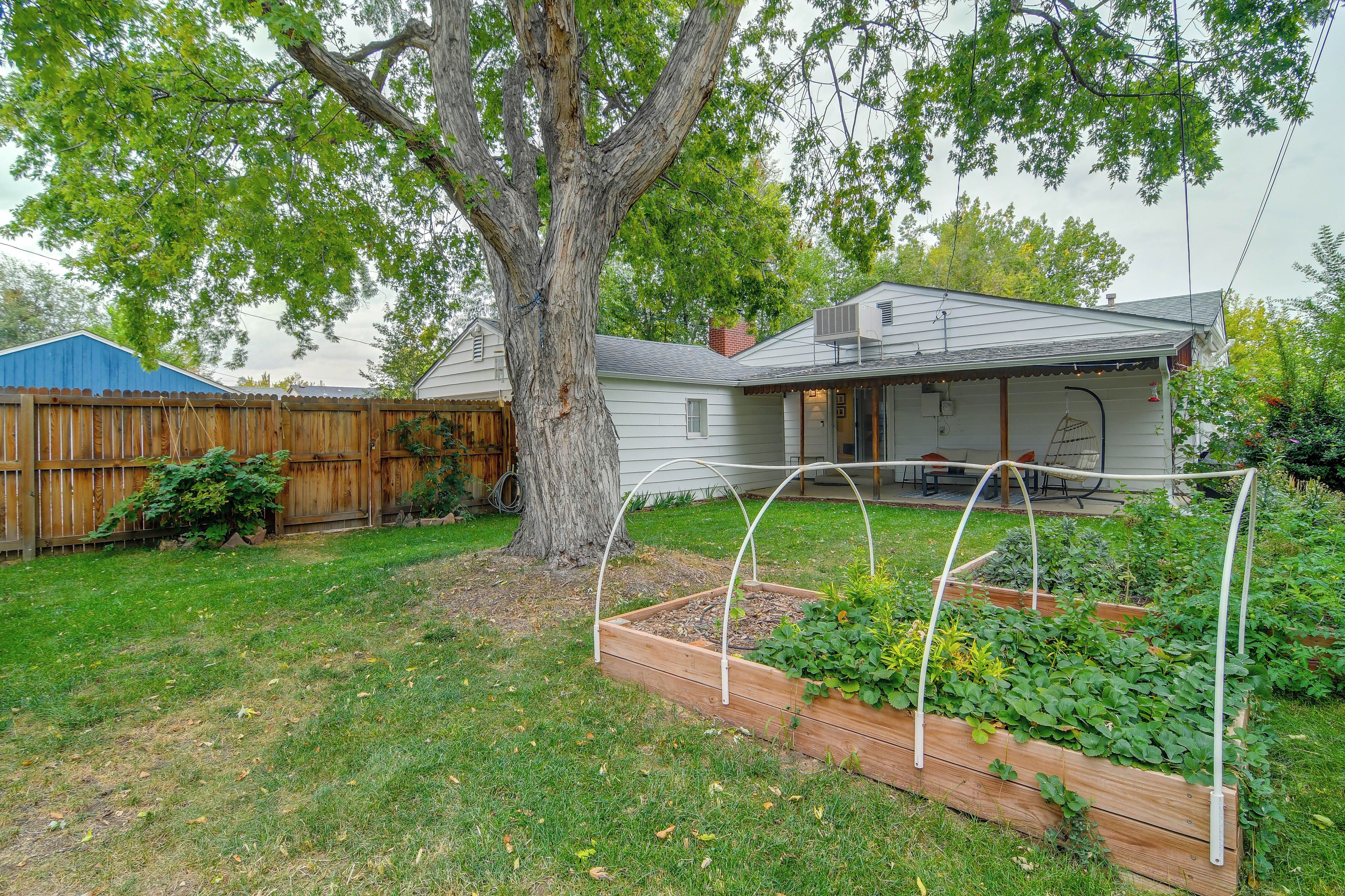 A residential backyard with a wooden deck, a large tree, and a raised garden bed.
