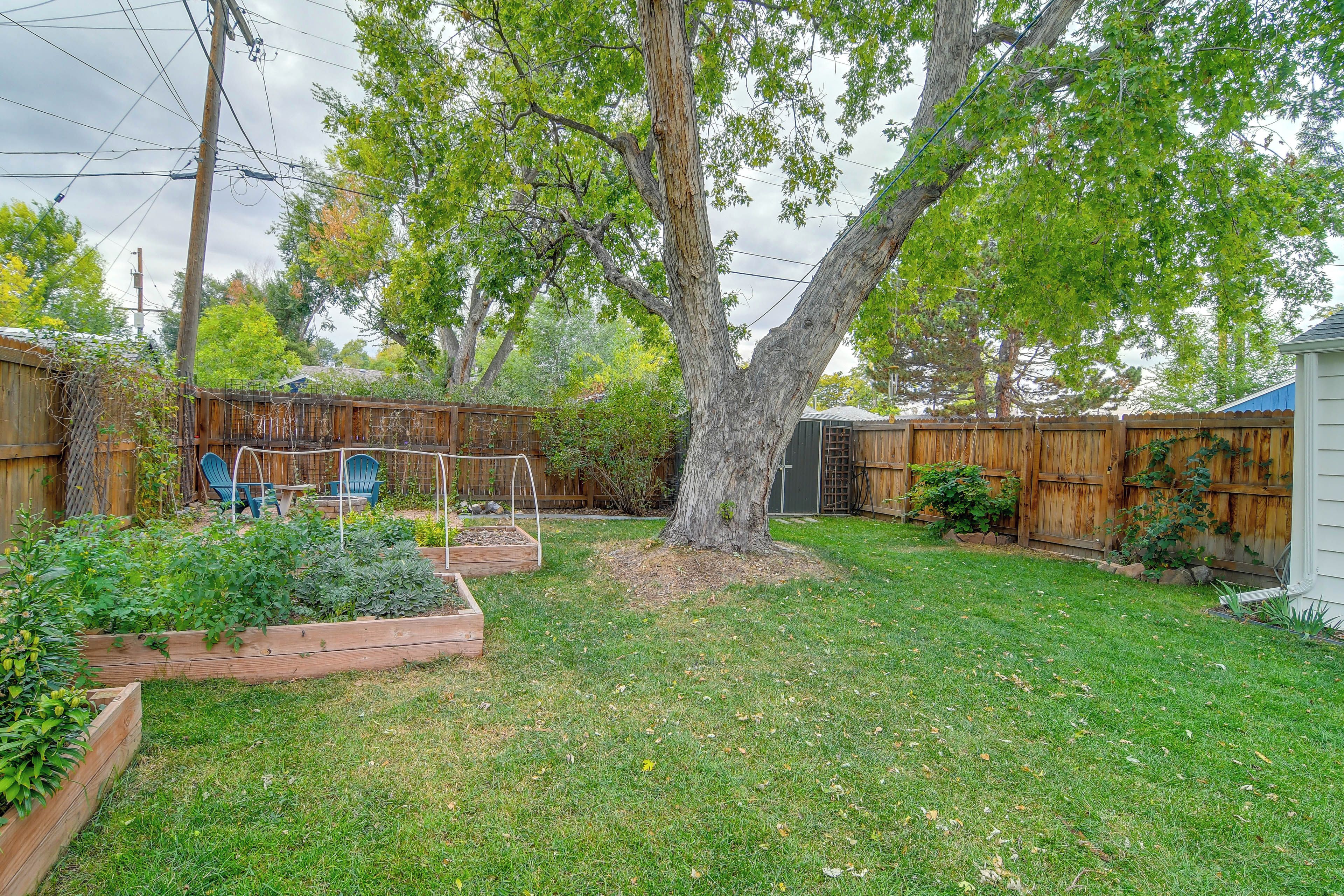 A backyard with a large tree, raised garden beds, and a wooden fence.