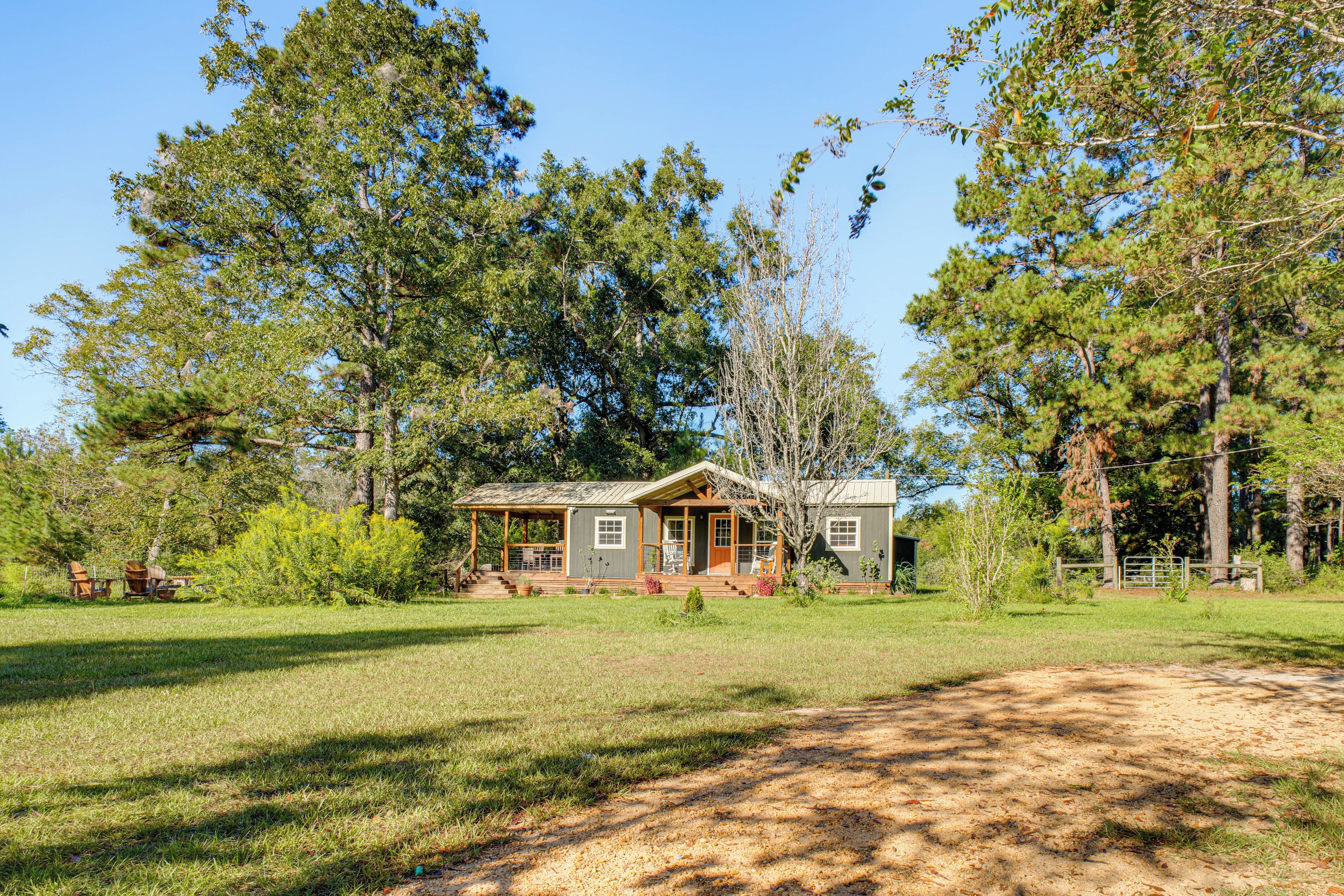 A rustic cabin with a porch, surrounded by a grassy yard and tall trees.
