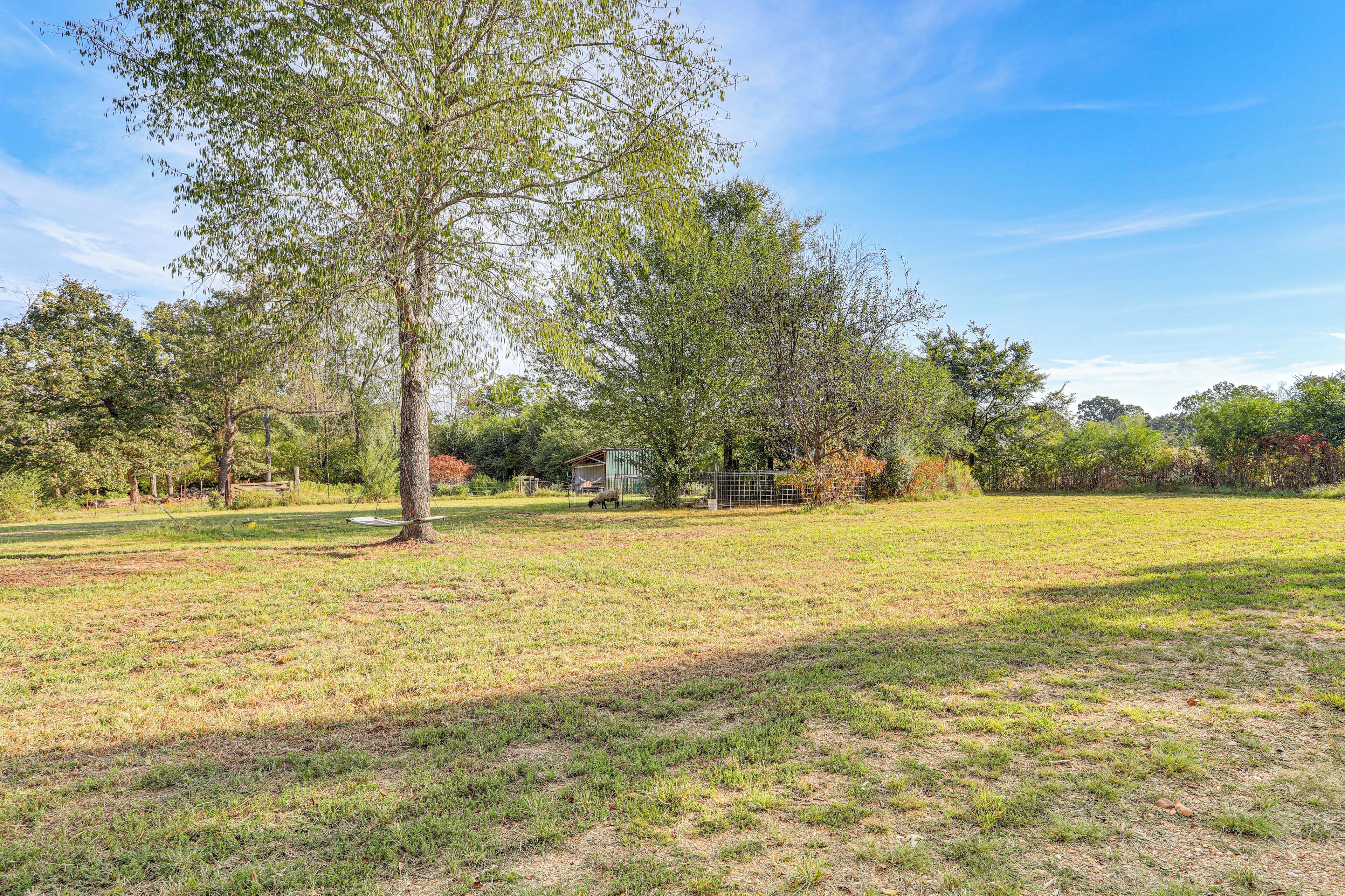 A grassy field with a large tree and a small building in the background.