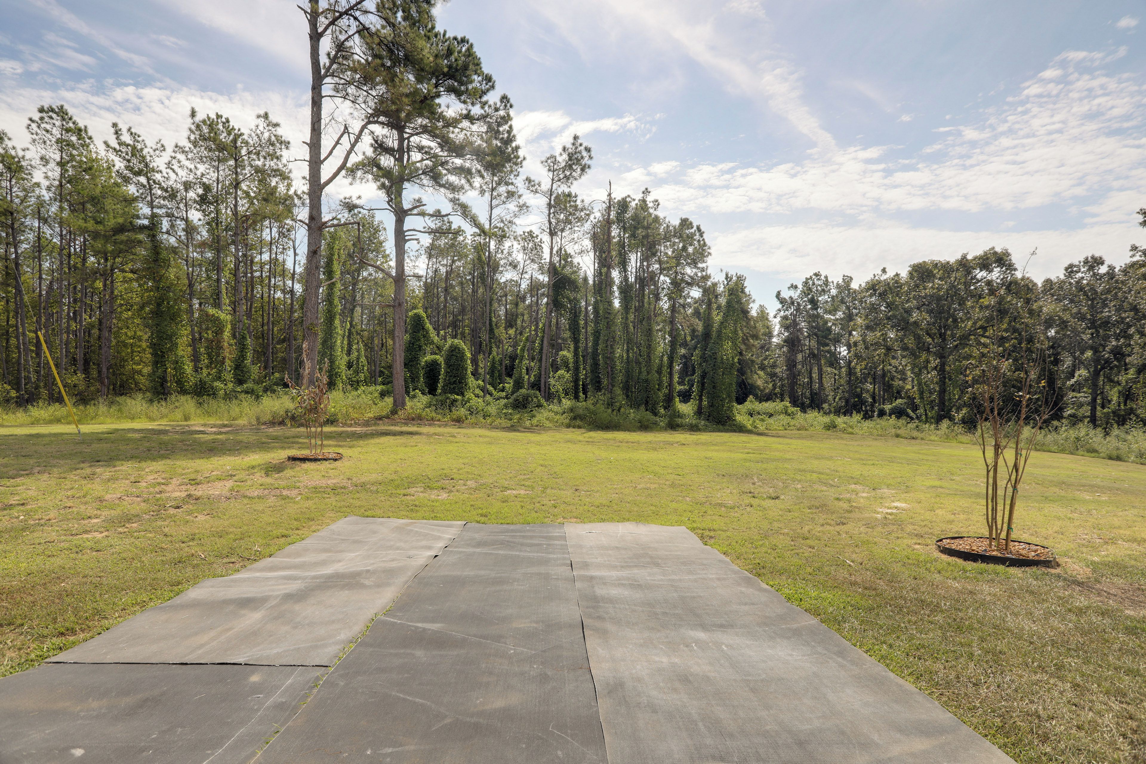 A grassy outdoor area with a paved walkway leading to a forested background.