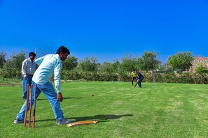 A cricket game in progress on a well-maintained grass field with a clear sky. - EcoTown Resort (Jaipur)