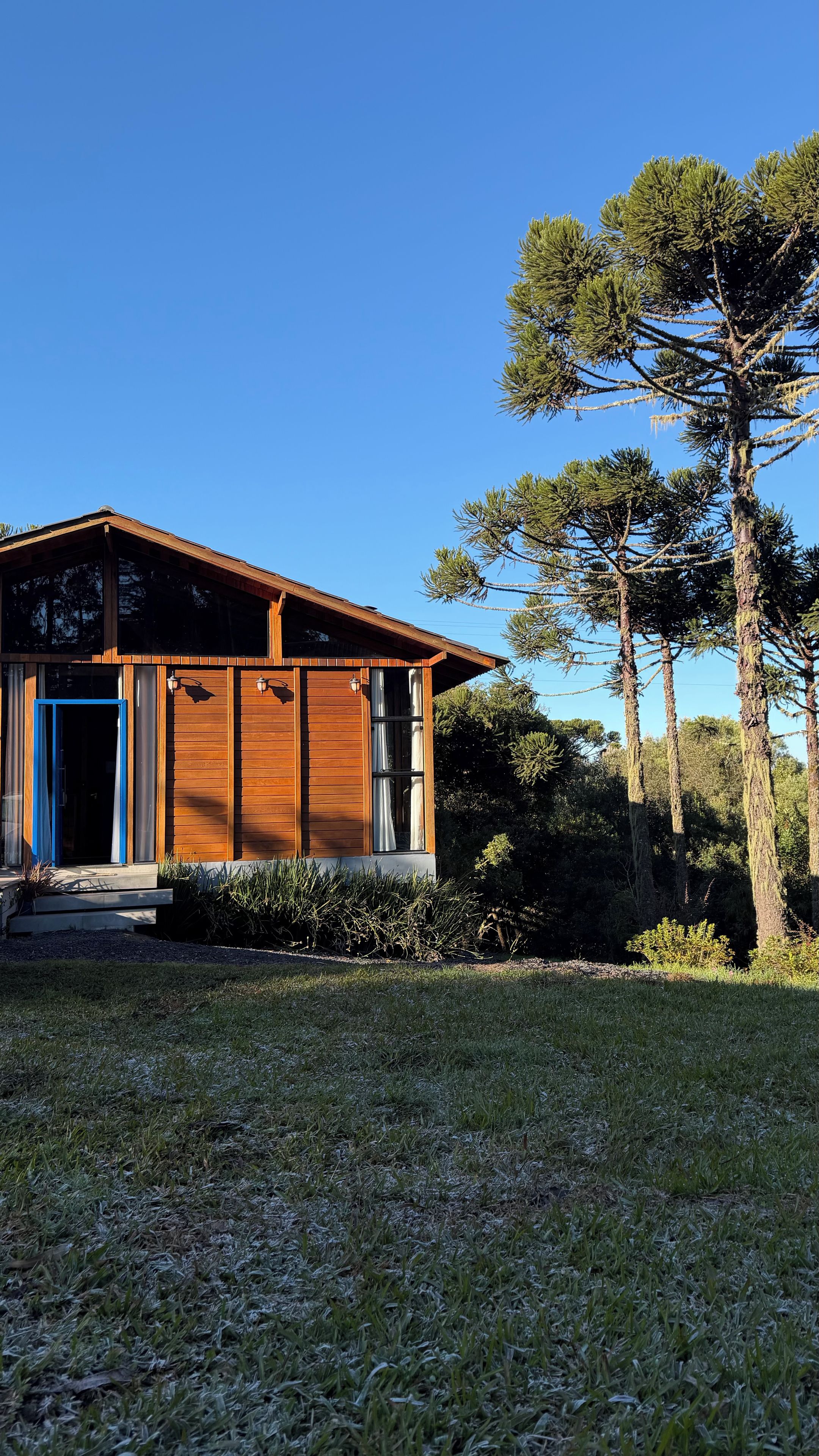 Ein modernes Haus mit Holzfassade, einer blauen Tür und wolkenlosem Himmel.