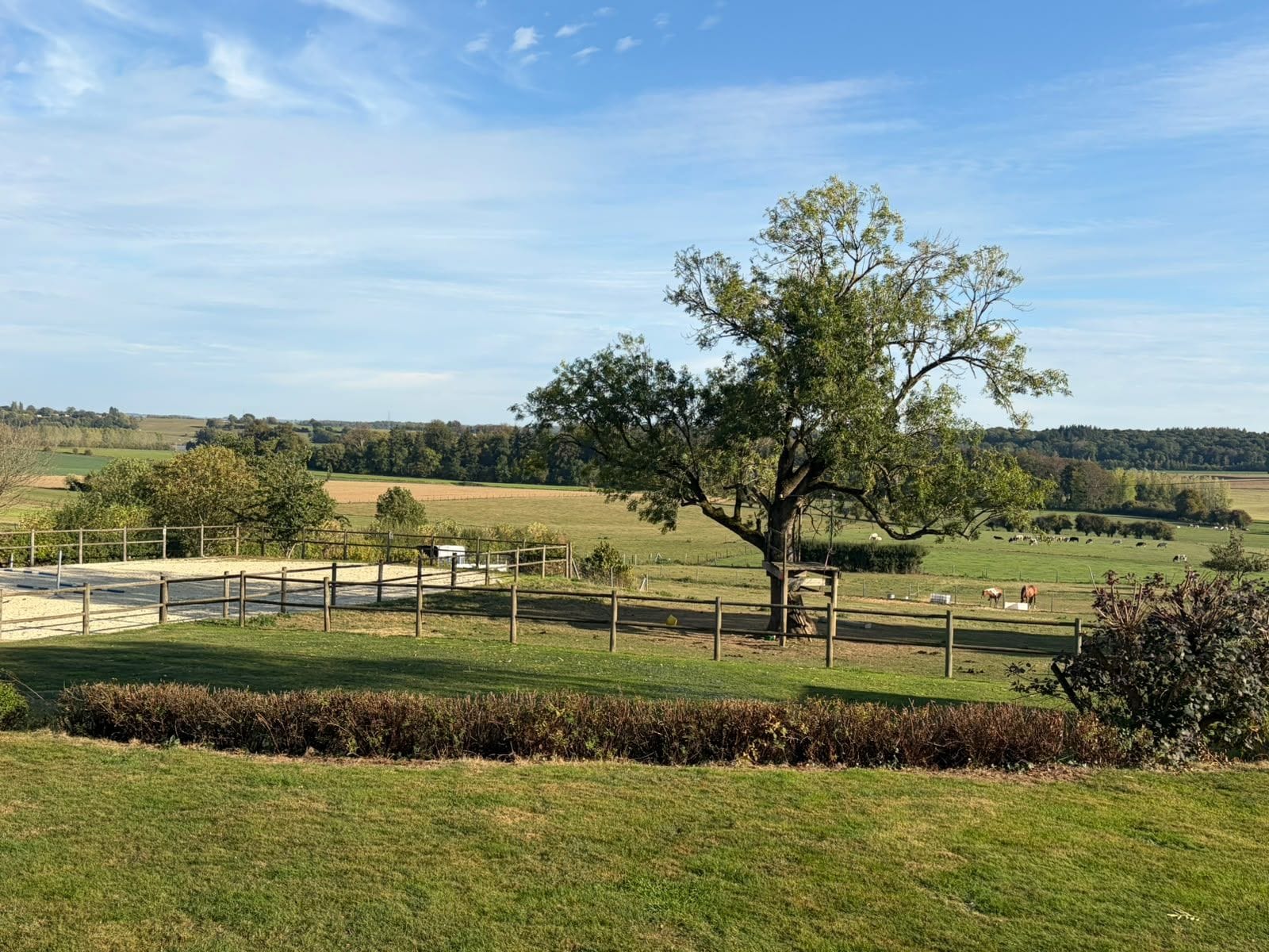 Un paisaje rural con una zona cercada, un árbol grande y campos al fondo.