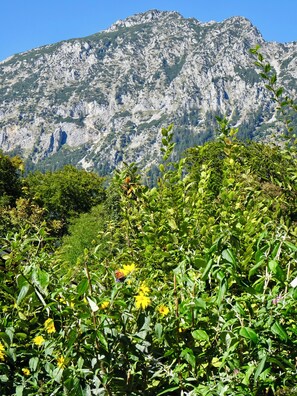 Miscellaneous - Goethe Belle Étage: An Elegant Getaway for Families and Friends (Bad Reichenhall)