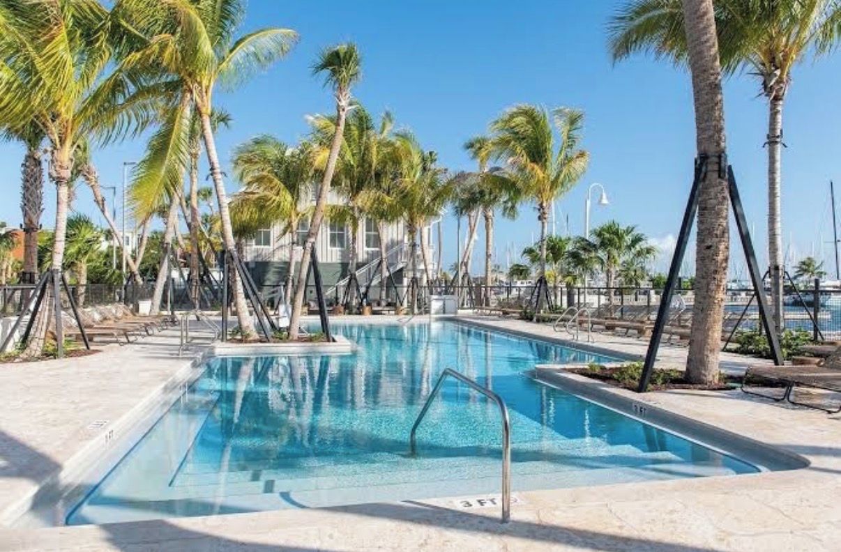 Une piscine bordée de palmiers, sous un ciel dégagé.
