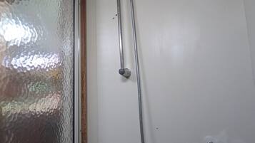 Une douche équipée d’un pommeau de douche à main et d’un flexible.