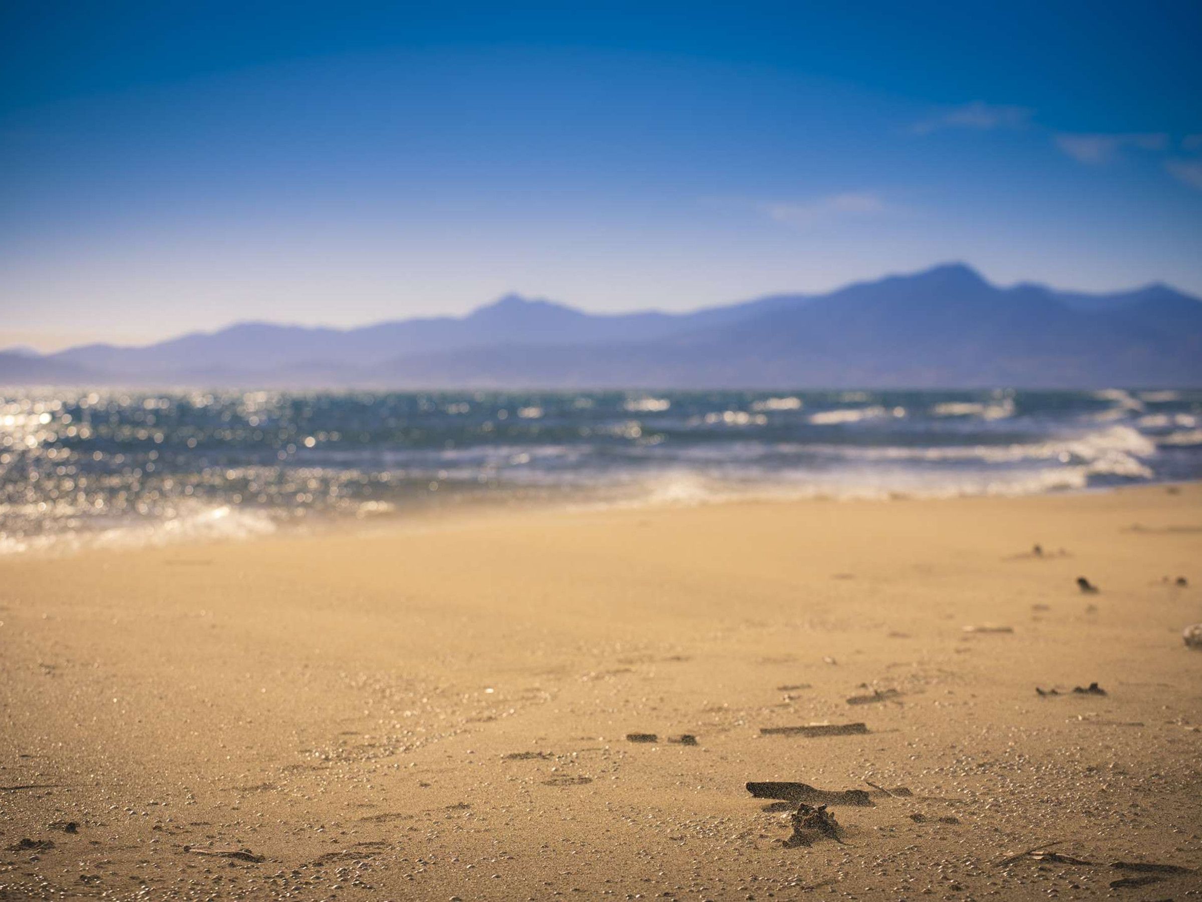 A beach with a mountain range in the background.