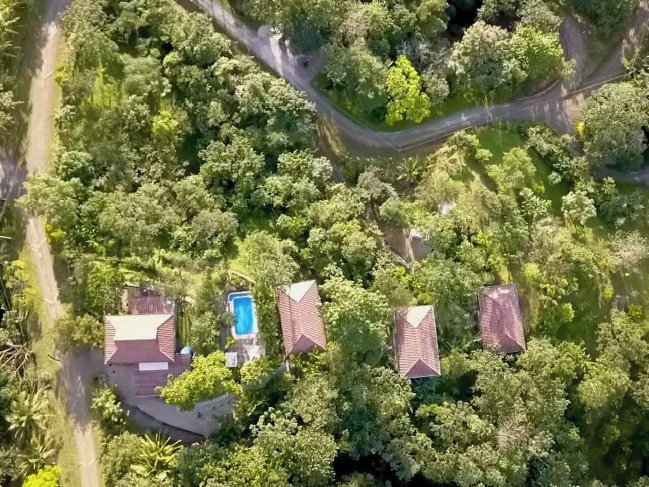 A residential area with multiple houses surrounded by dense greenery, a swimming pool, and a winding road.
