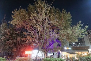 A tree-lined street at night with illuminated signs and buildings in the background. - Townhouse OAK Gharonda Residency (Pune)