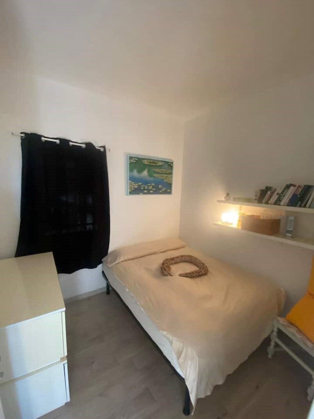 Quarto pequeno com uma cama de solteiro, roupa de cama branca, cortina preta, um quadro na parede e uma estante com livros.