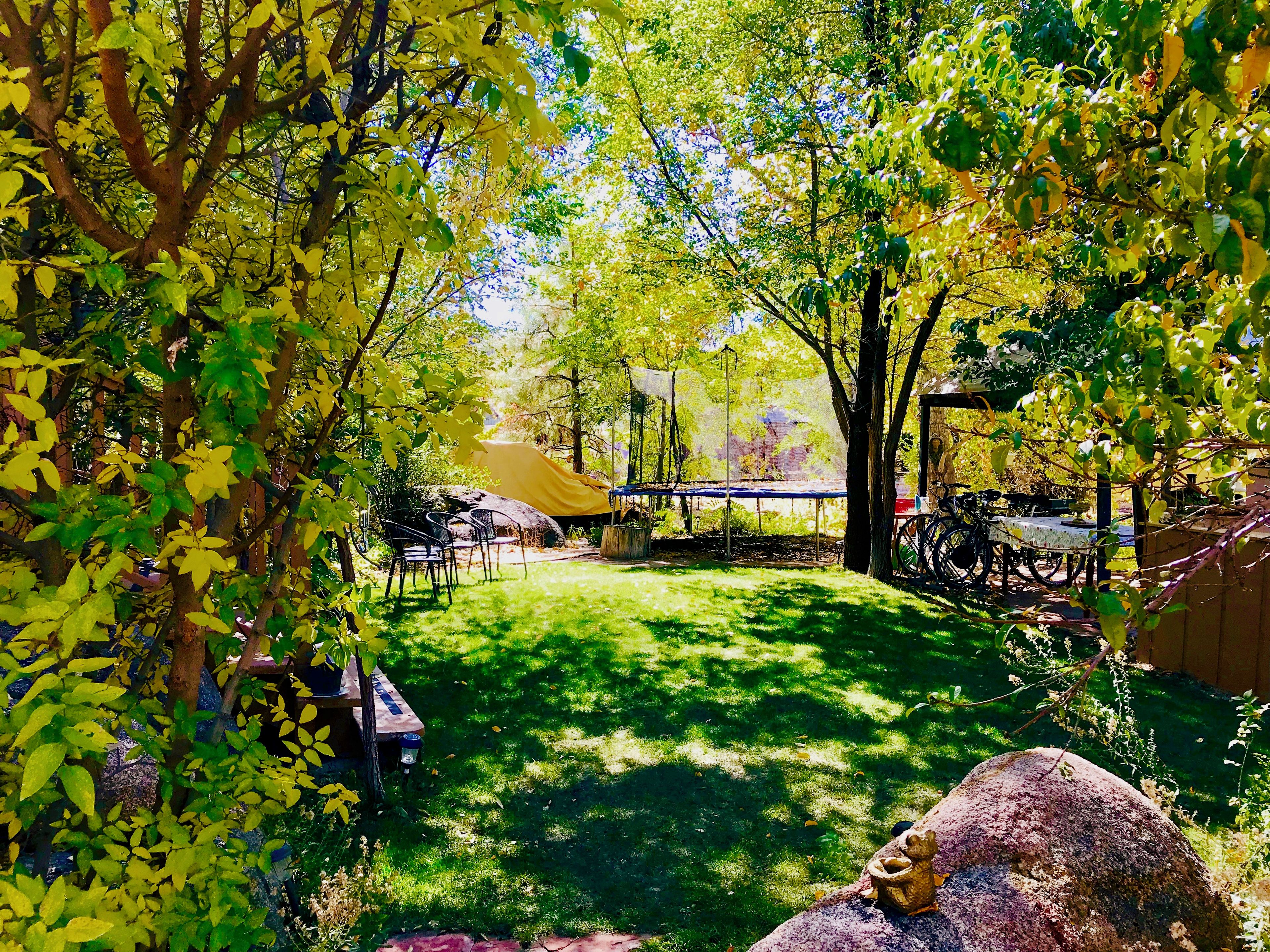 A garden with a covered seating area, a table, and a statue.