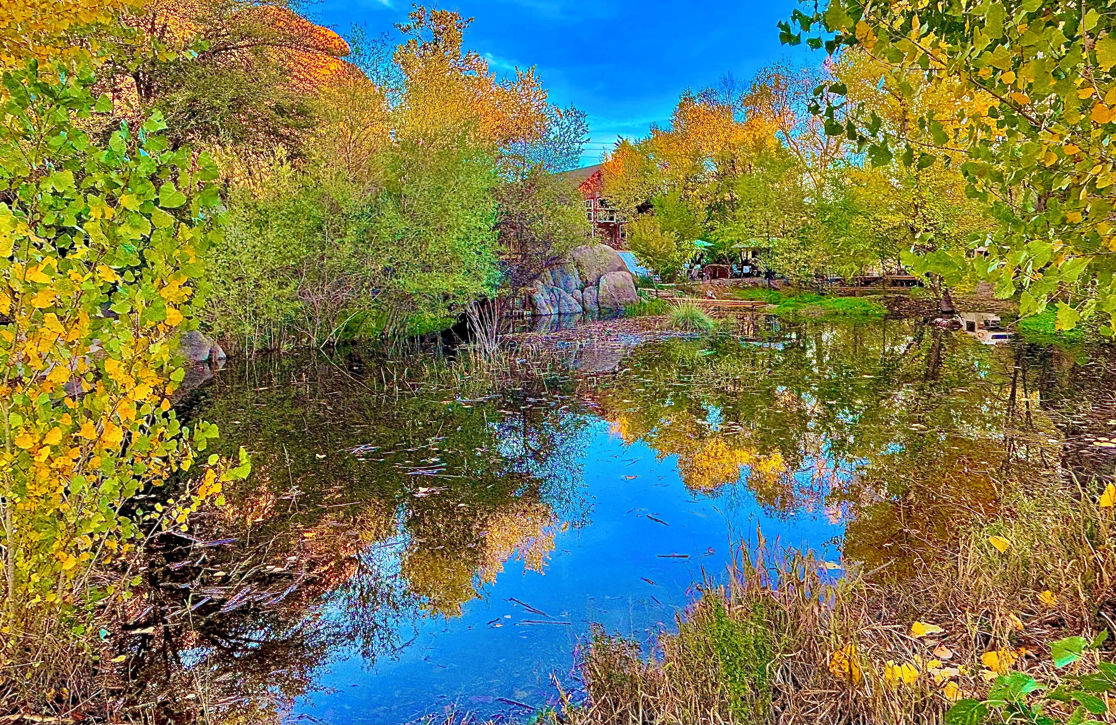 A tranquil river scene with dense foliage on both sides, a clear reflection in the water, and a small structure in the distance.