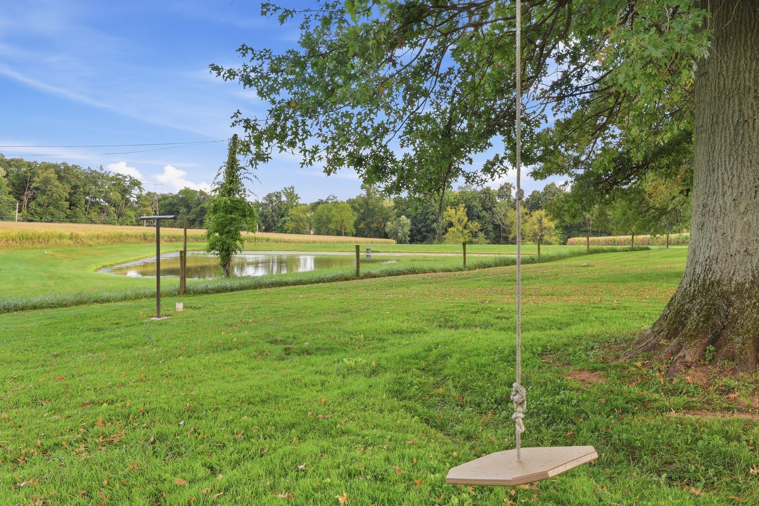 Un parque con un columpio, un estanque y una zona cubierta de césped.