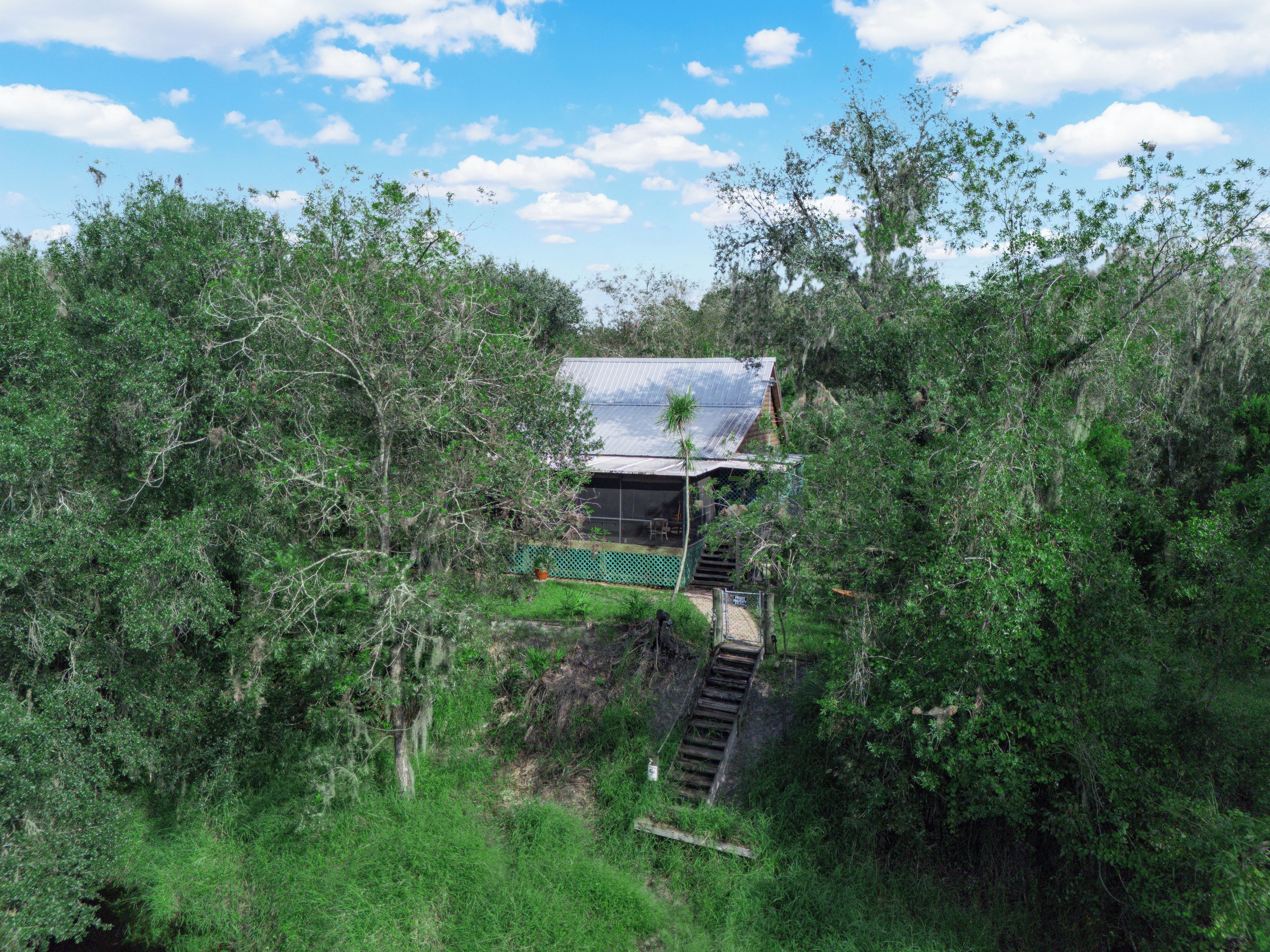 A secluded cabin surrounded by dense foliage, with a staircase leading to the entrance.