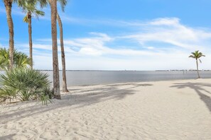 Ein sandiger Strand mit Palmen und ruhigem Meer.
