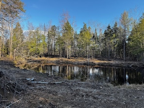 Un paysage naturel avec un étang bordé d’arbres et un sentier de terre.