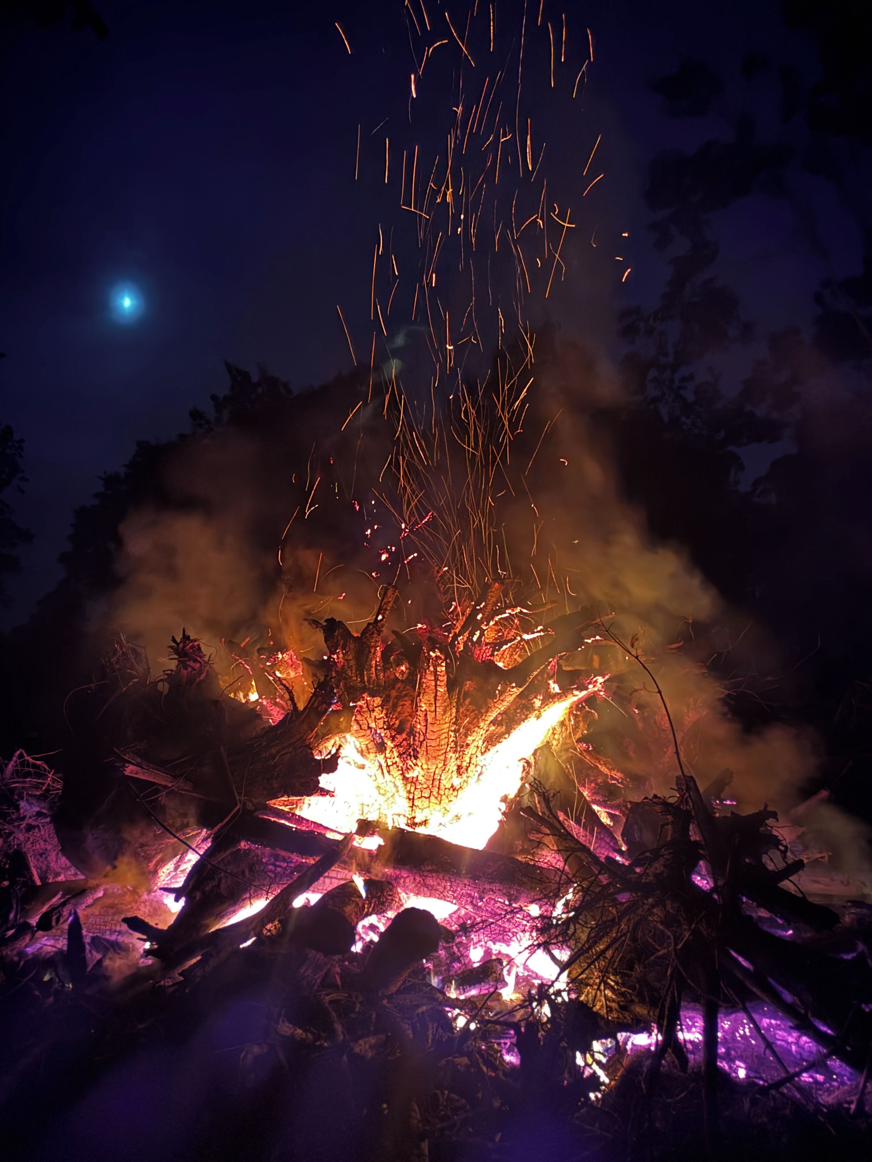 A campfire with visible flames and sparks, surrounded by natural debris and trees.