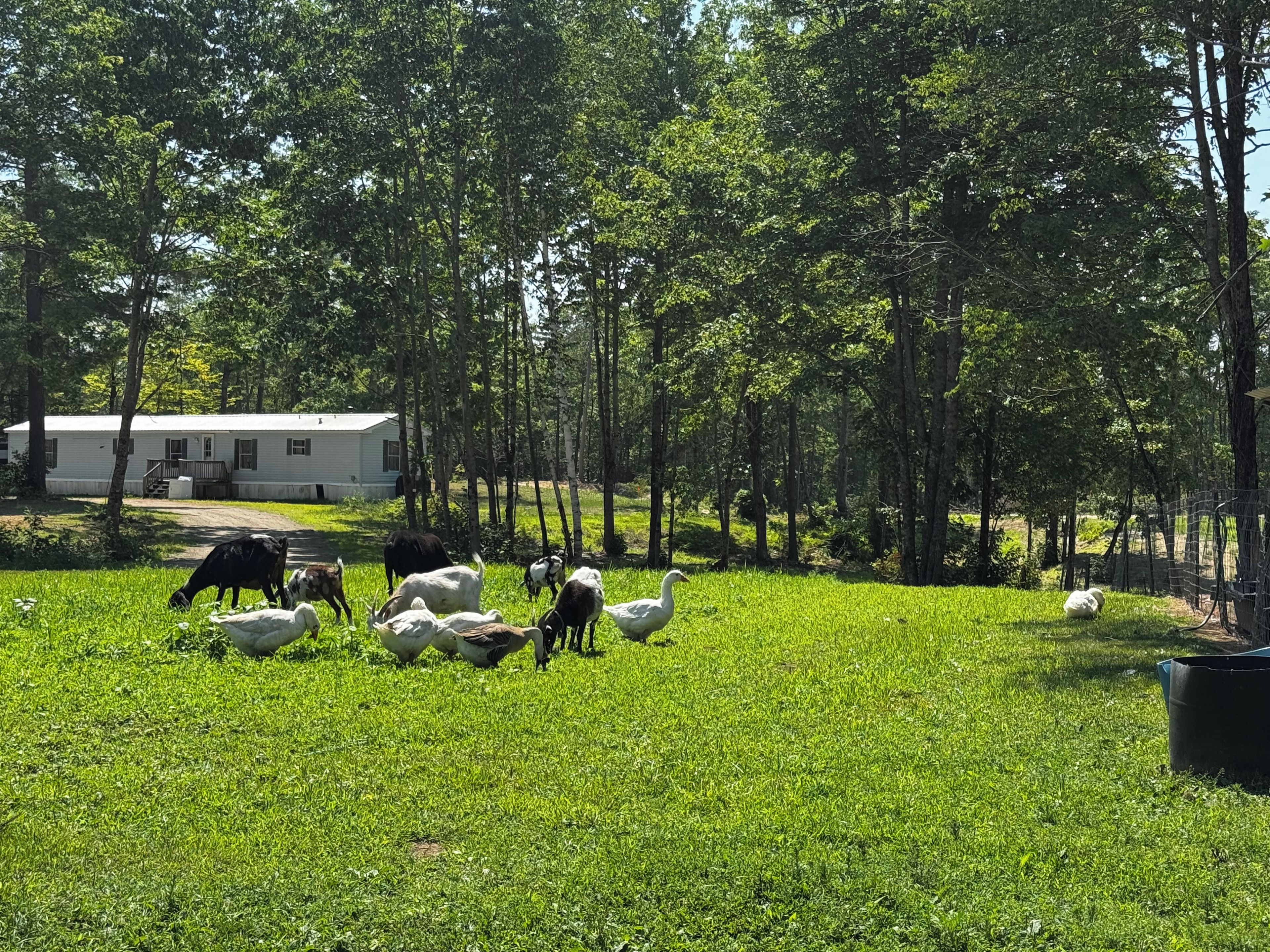 Property grounds