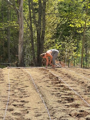 Une personne travaille dans un champ, avec des arbres en arrière-plan.
