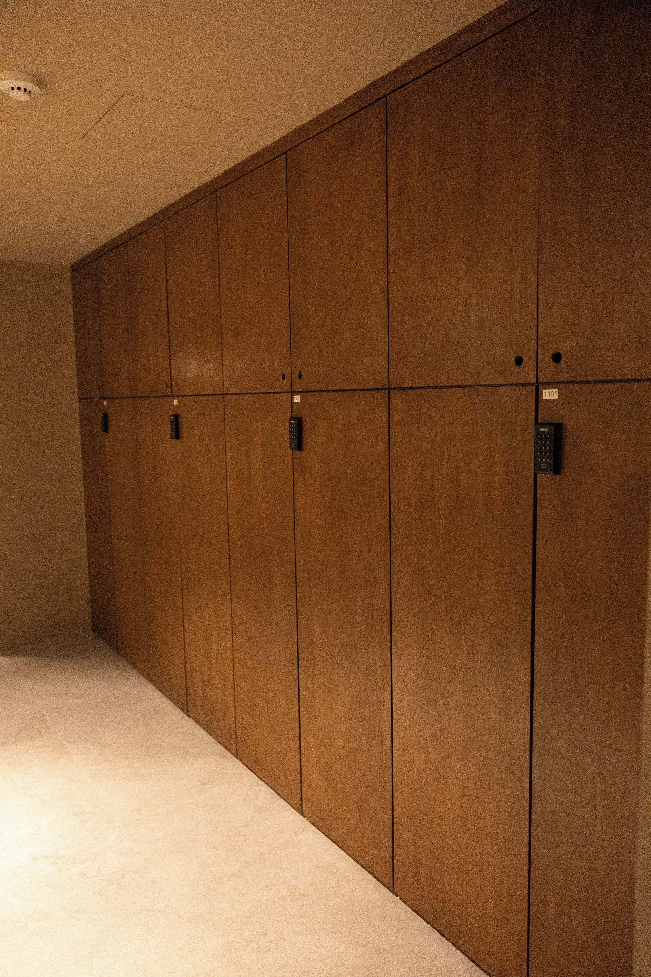 Une pièce dotée d’une grande armoire en bois, d’un sol recouvert d’une moquette et d’un luminaire au plafond.
