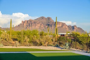 A fenced area with cacti and a mountain in the background. - Tonto Casita – Luxury Foothills Home w/ Mtn Views (Apache Junction)