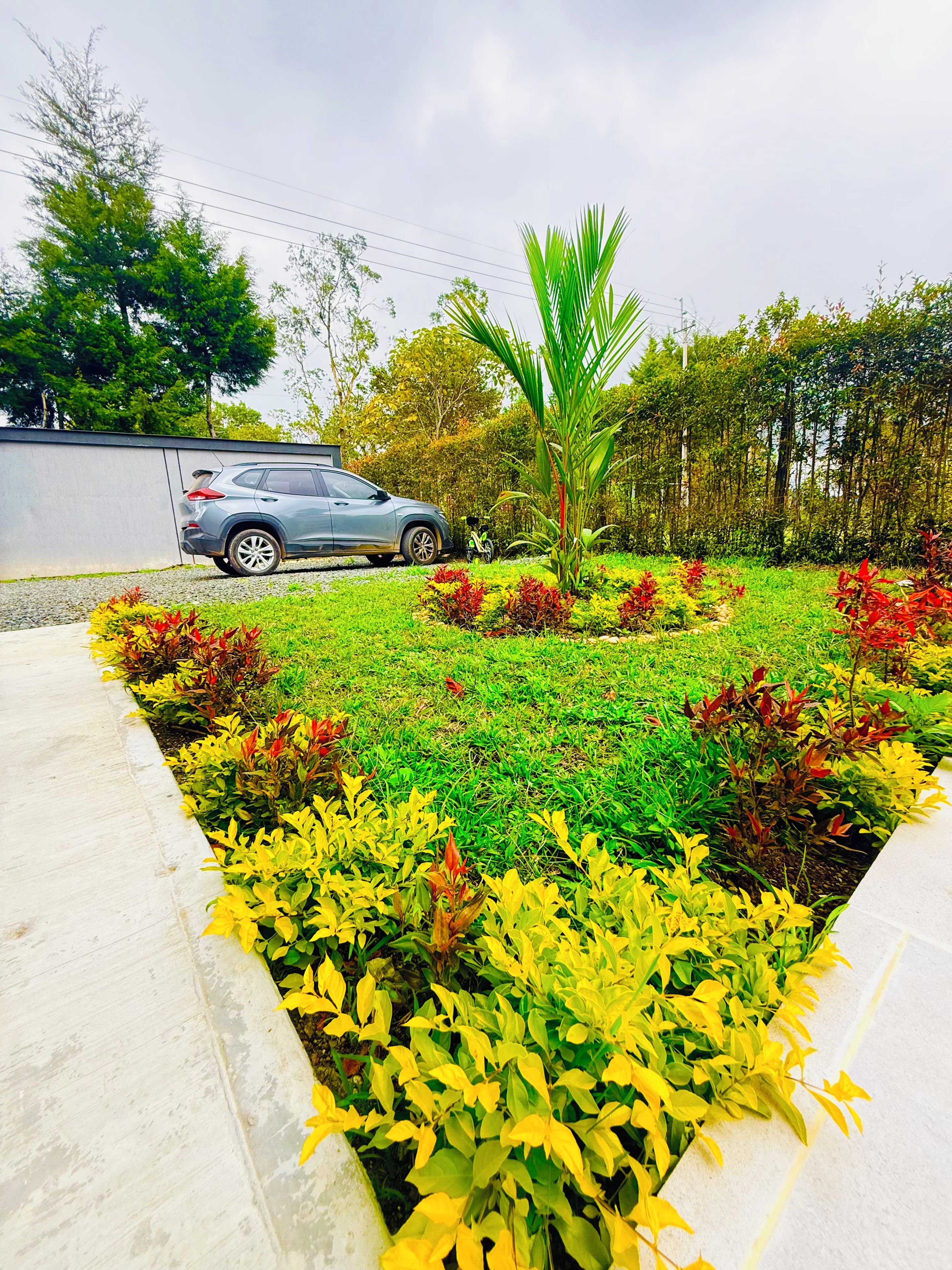 Un camino pavimentado que conduce a un coche estacionado en un área ajardinada con diversas plantas y una palmera.