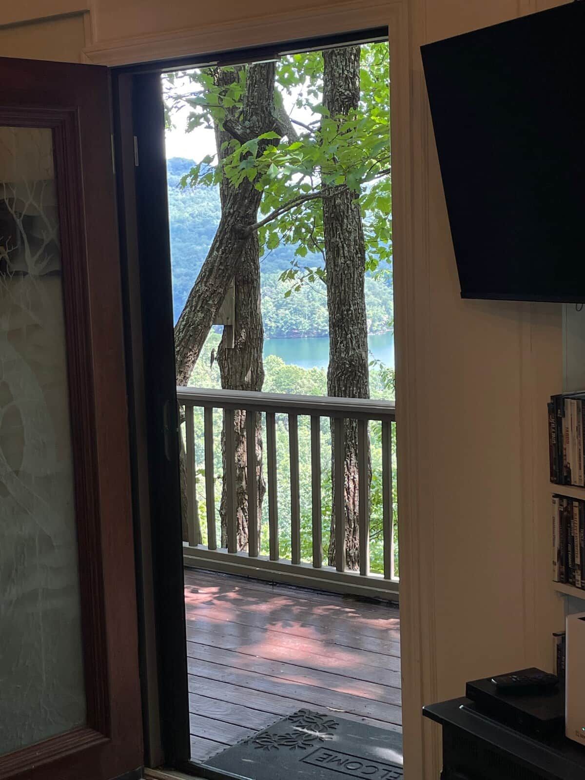 Une pièce avec une porte donnant sur un balcon qui offre une vue sur un lac, un téléviseur fixé au mur et une bibliothèque.