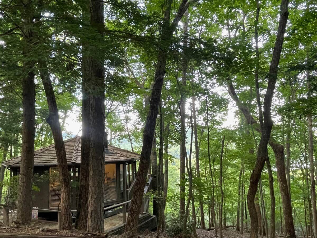 Una baita di legno circondata da alberi alti in una foresta.