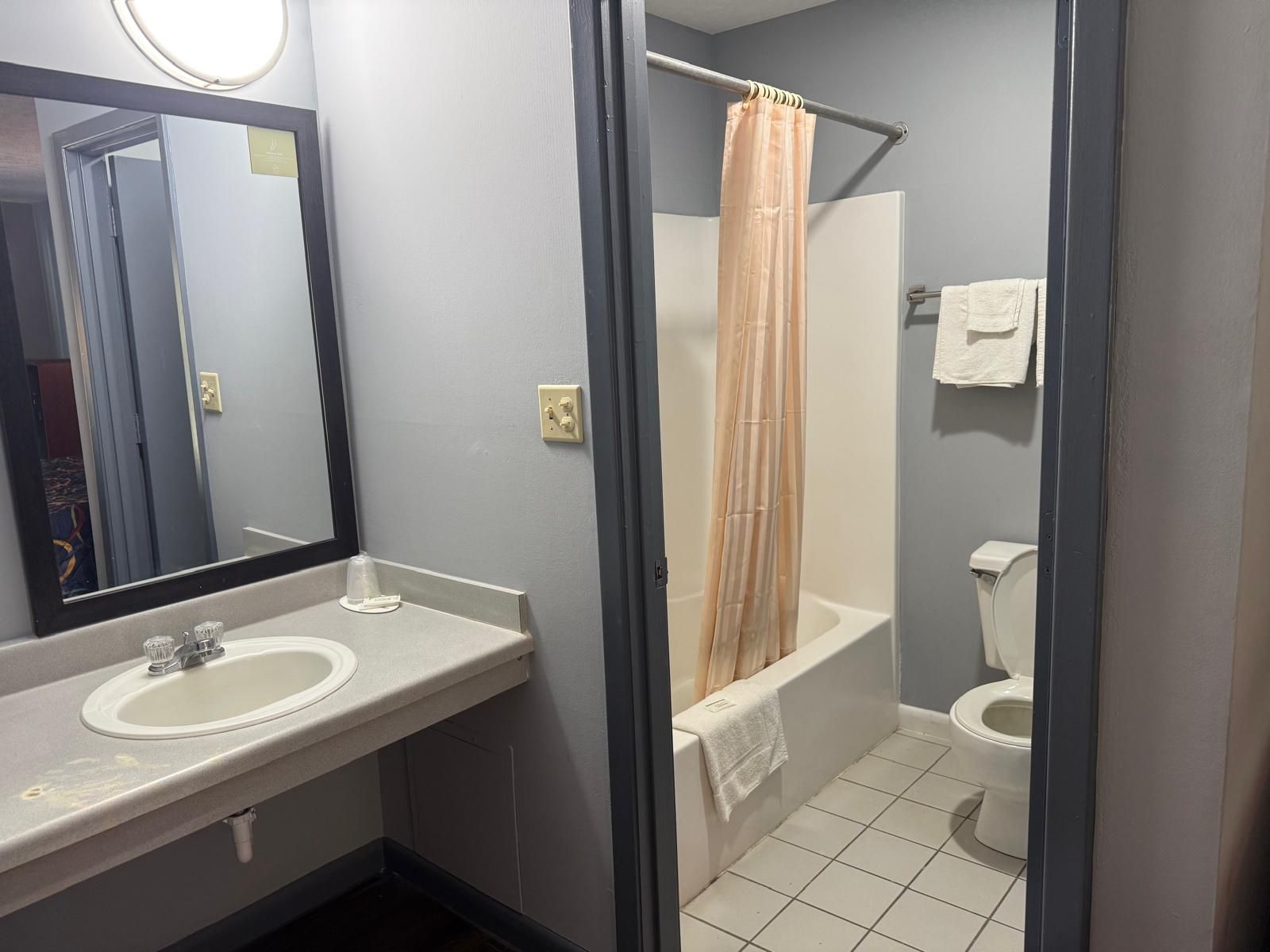 Un baño con lavamanos, espejo, inodoro y ducha.