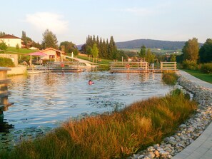 A calm water body with a wooden dock, surrounded by grassy banks and a pathway. - Apartment Stephi by Interhome (Neukirchen beim Heiligen Blut)