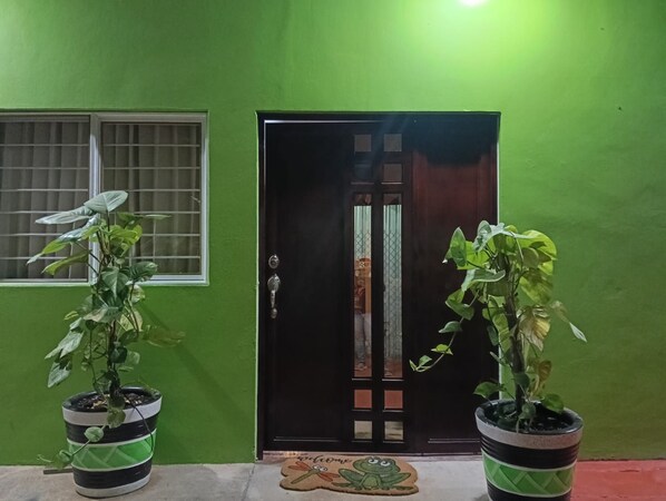 A green-painted exterior wall with a dark wooden door and a window with metal bars. There are two potted plants with green leaves in front of the door.