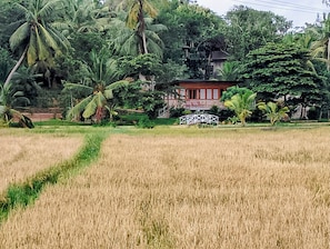 A rural landscape with a field of crops, a white bridge, and a building with a red roof.