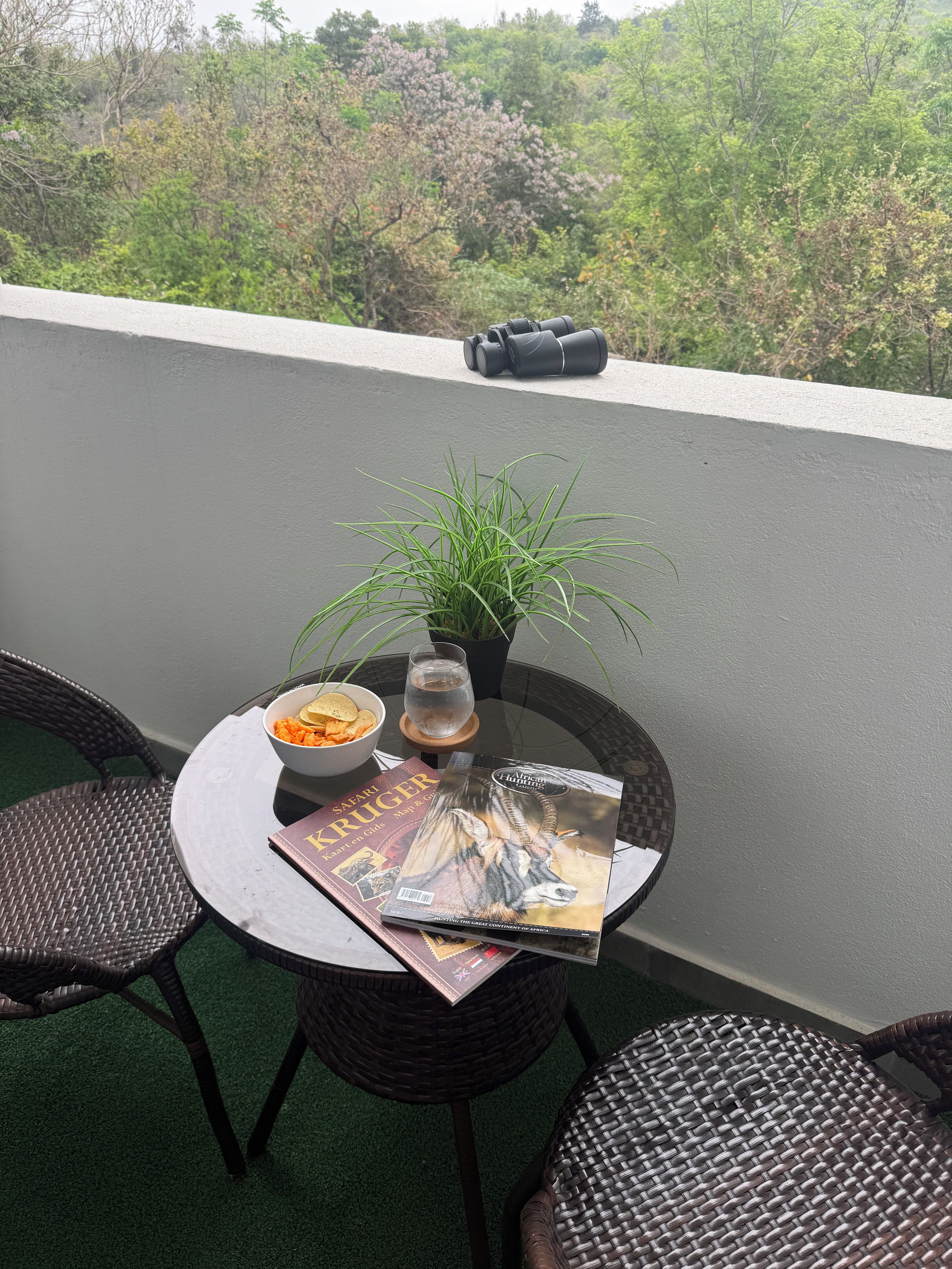 室外用餐