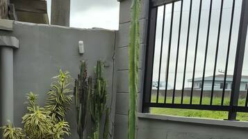 A rooftop terrace with potted plants and a view of a residential area.