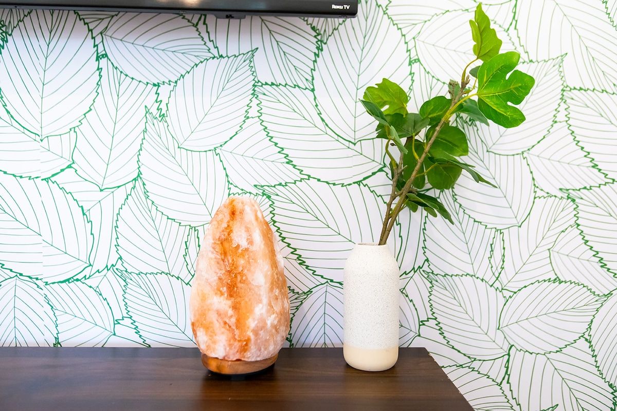 A rock salt formation and a potted plant on a wooden surface against a leaf-patterned wall.