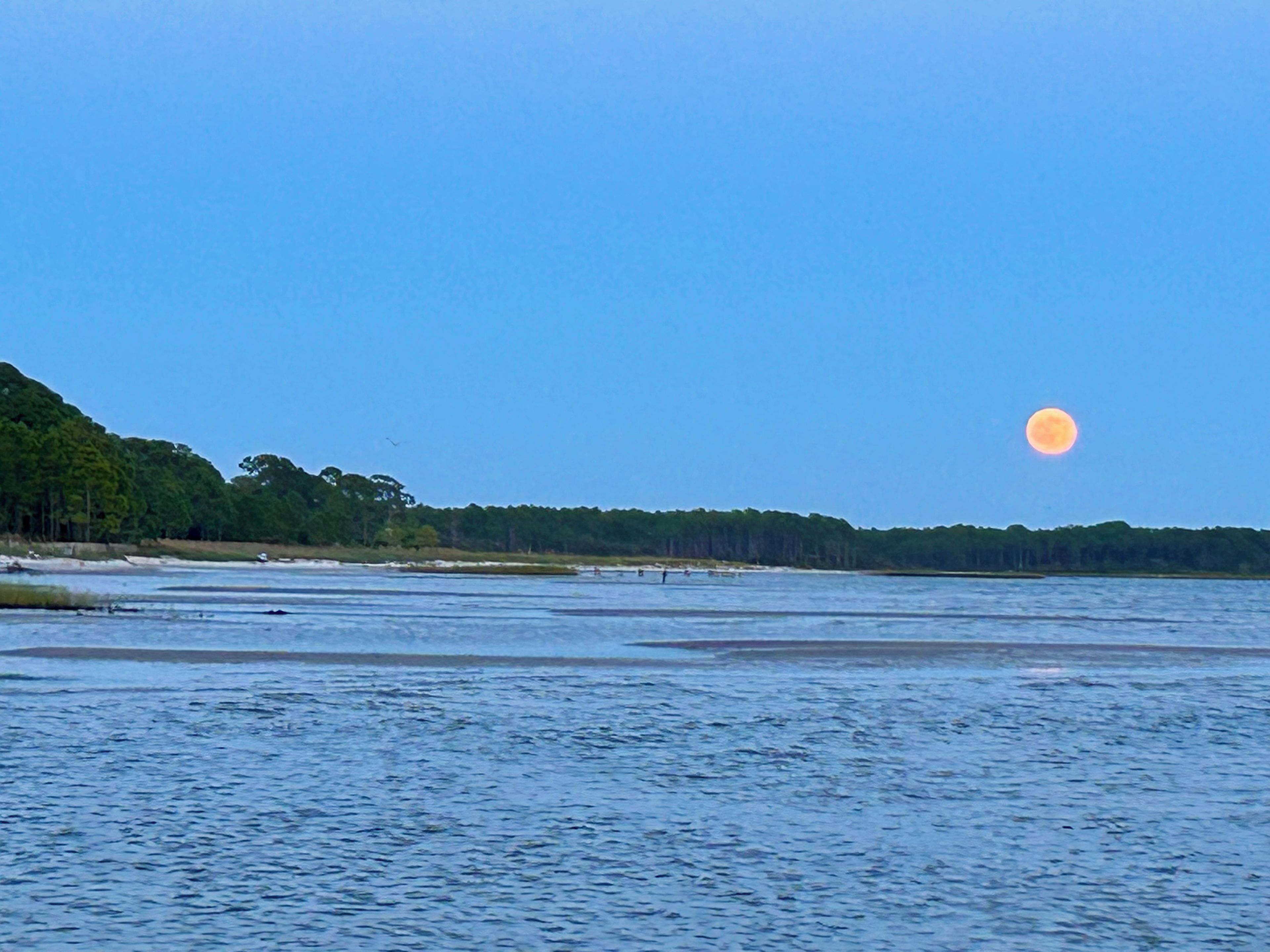 Una masa de agua tranquila con un área boscosa al fondo y una luna brillante en el cielo.