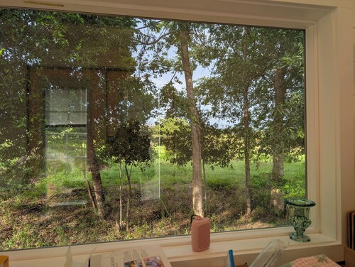 Charming, Peaceful Tiny Home in Alachua, Florida
