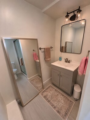 A bathroom with a large mirror, a sink, and a toilet. - Serene studio apartment in beautiful Daly City perfect for relaxing (Daly City)