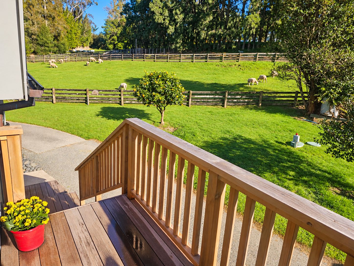 A wooden deck with a railing overlooking a fenced pasture with sheep.
