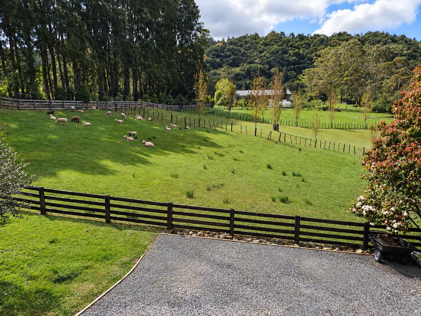 A fenced pasture with sheep grazing, surrounded by trees and a hill in the background.