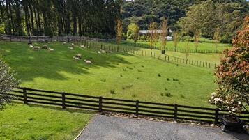 A fenced pasture with sheep grazing, surrounded by trees and a hill in the background.