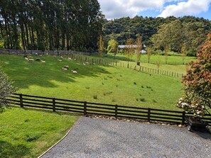 A fenced pasture with sheep grazing, surrounded by trees and a hill in the background.
